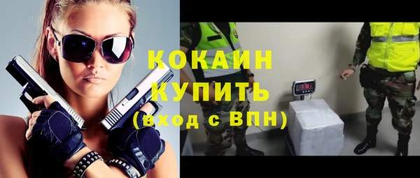 дживик Арсеньев