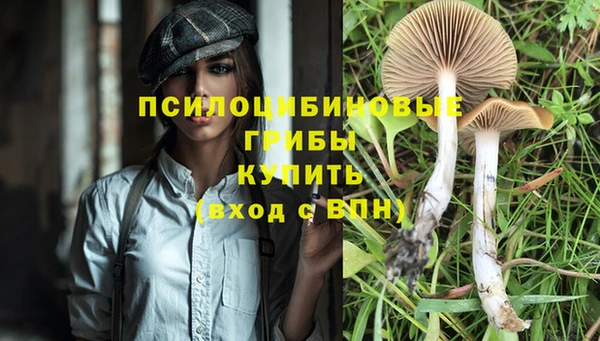тгк Аркадак