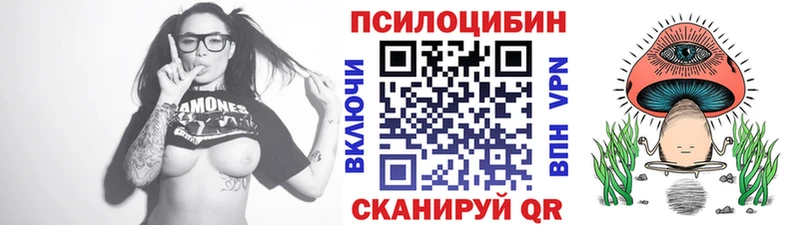 Псилоцибиновые грибы Psilocybe  Новозыбков 