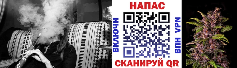 darknet клад Новозыбков Канабис Bruce Banner